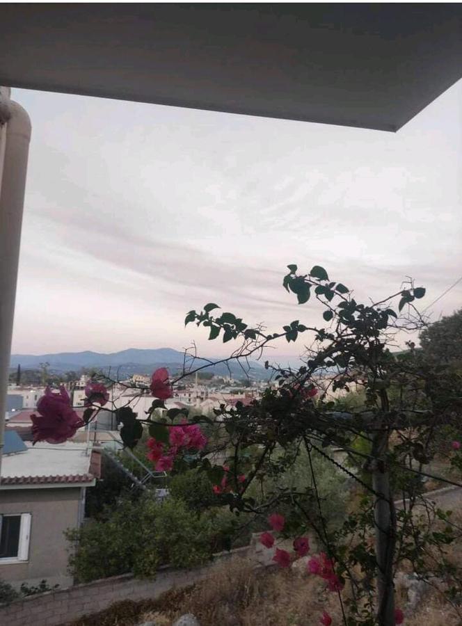 Όμορφο Και Ευρύχωρο Διαμέρισμα Με Θέα! Apartment Нафплион Екстериор снимка